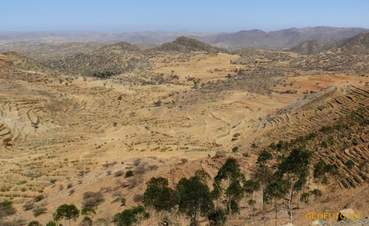 Эритрея. Эритрея климат. Эритрея природа. Эритрея горы. Эритрея Африка.